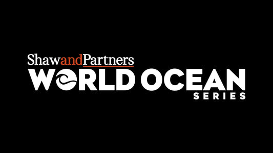 Ocean Series: Elevating the Prestige of Global Surf Sports